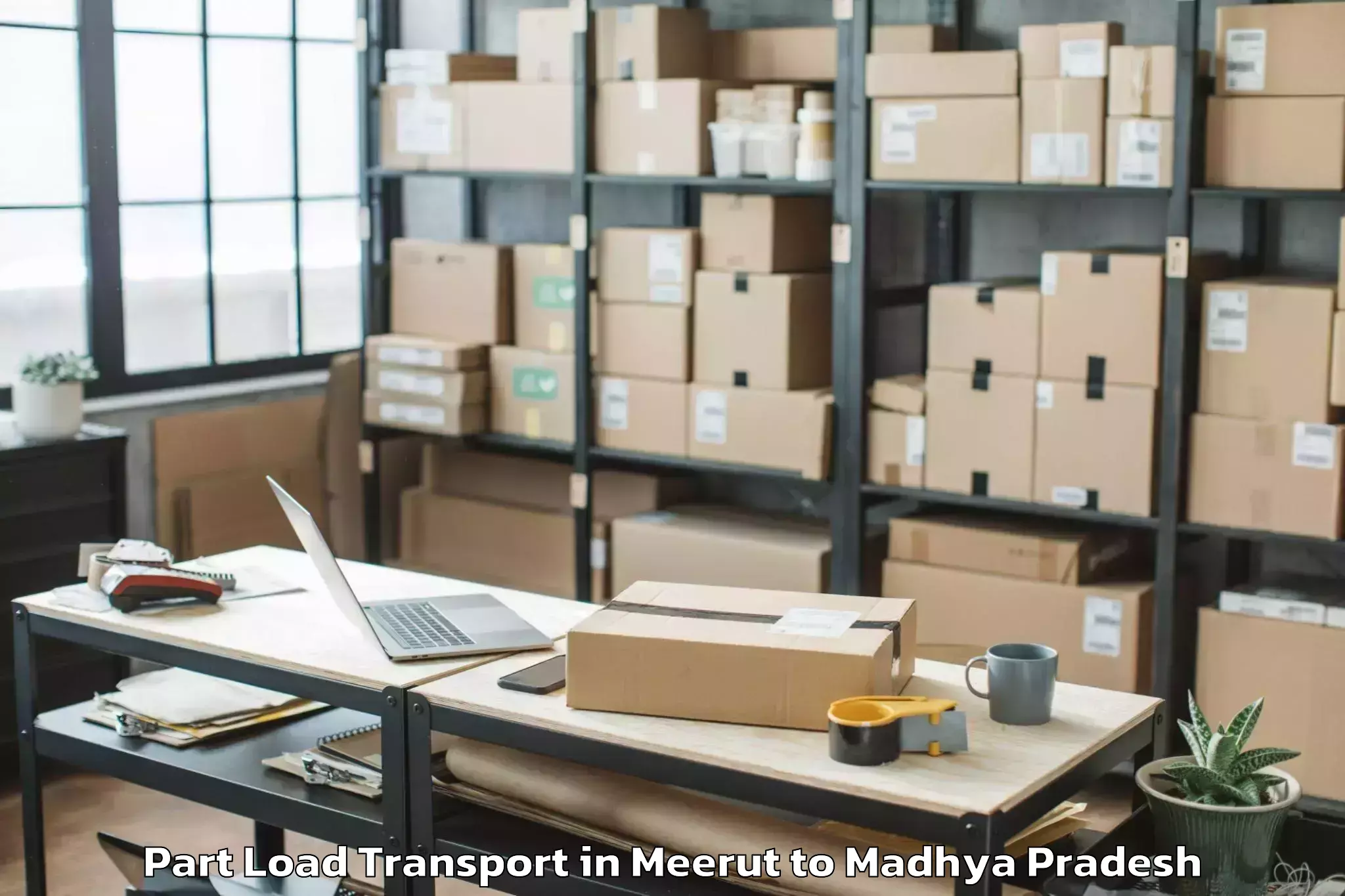 Book Your Meerut to Satna Airport Tni Part Load Transport Today